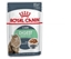 Picture of ROYAL CANIN Cat Digestive pouch